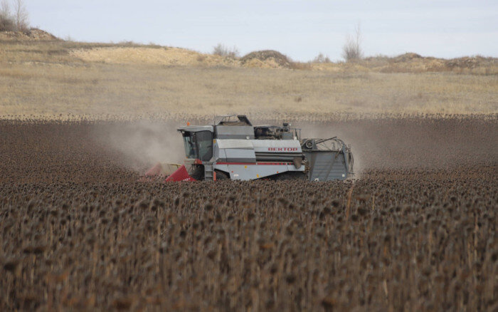    В Оренбуржье намолочено 3 млн 90,5 тыс. тонн зерна Кристина Просвиркина