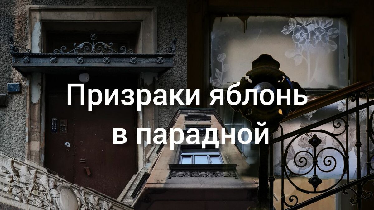 Фото: Парадная гостья