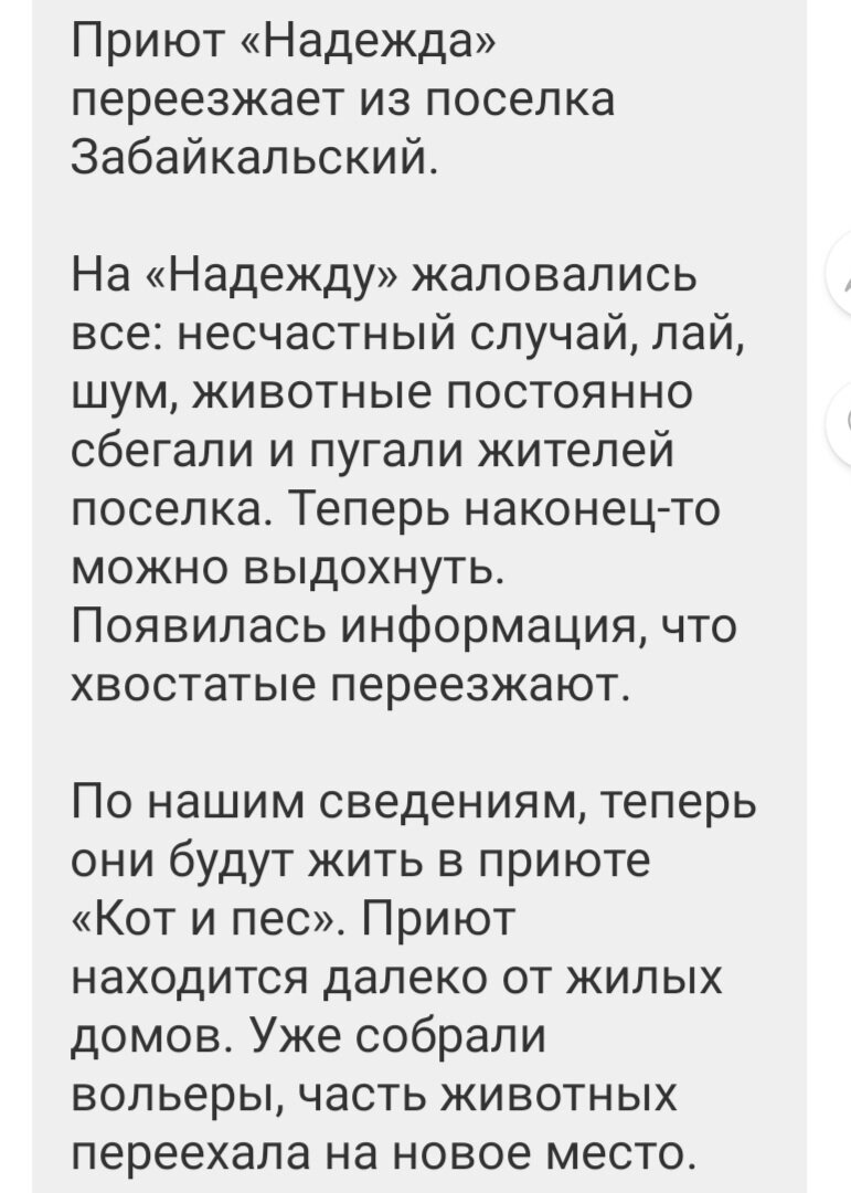 Целый день радуемся: от встречи с питомцами, новостям от Кена и сплетням от  блохеров | Под крылом надежды [ГОО 