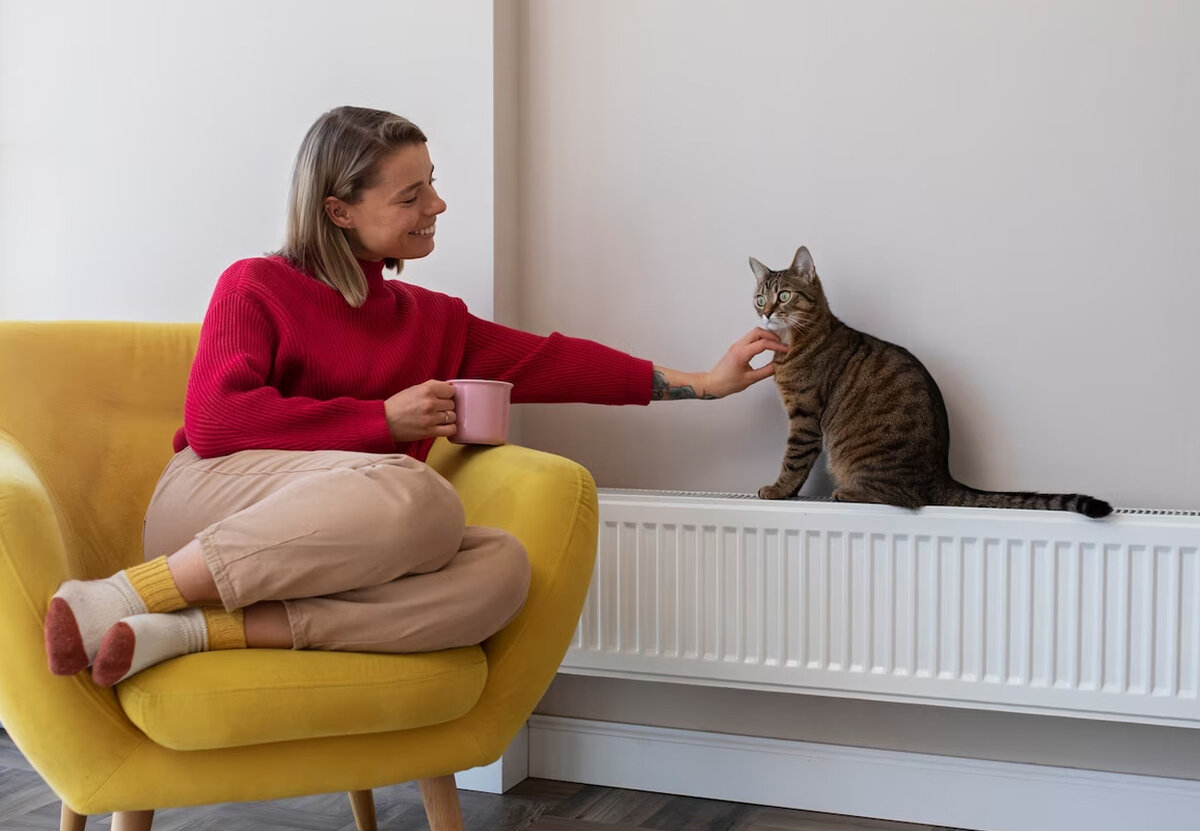 Закутались, а всё равно холодно? Врач назвала главные причины ...