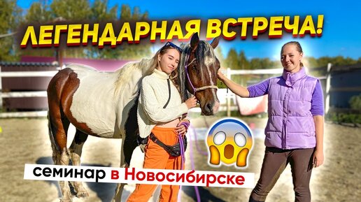 VLOG Встреча двух коноблогеров! ОБЗОР конных клубов