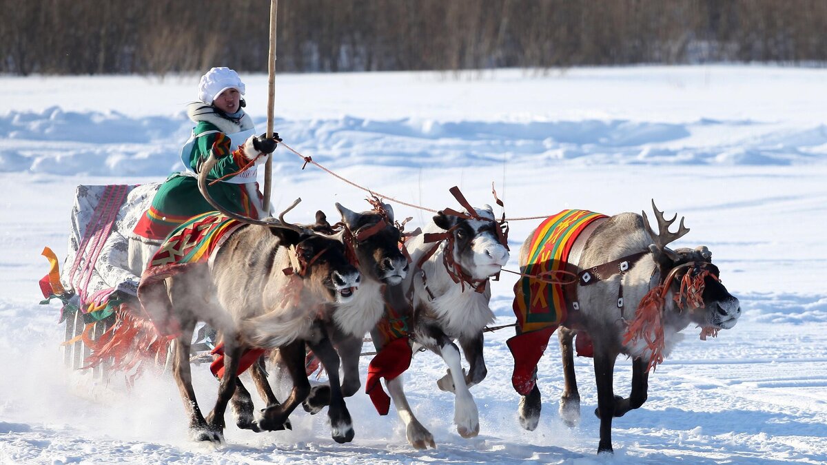    Эскимо не имеет отношения к эскимосам: они любят мороженое из снега© РИА Новости | Вера Костамо