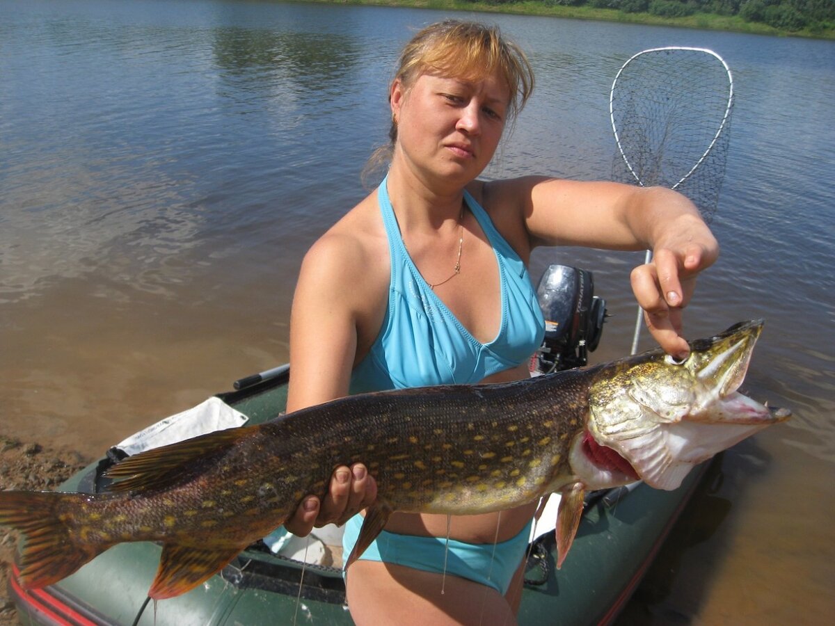 Ловля щуки осенью