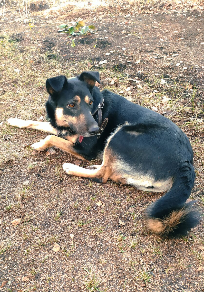 Лялька. Фото автора