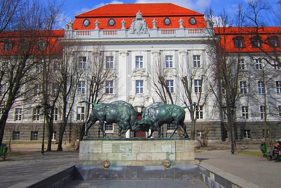 Фото из Интернет. Зубры у здания КТИРПиХ. Калининград, РСФСОР.