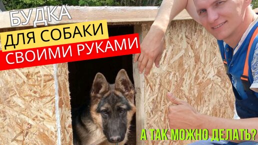 Dog House Diy Plans