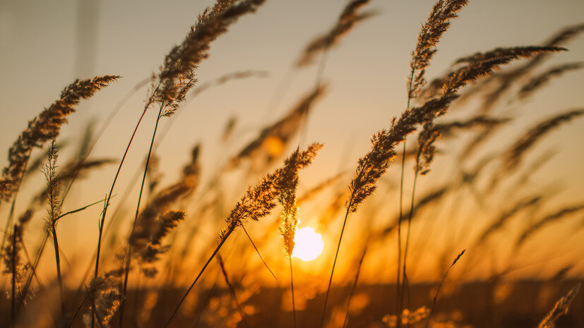   Gettyimages.ru iiievgeniy