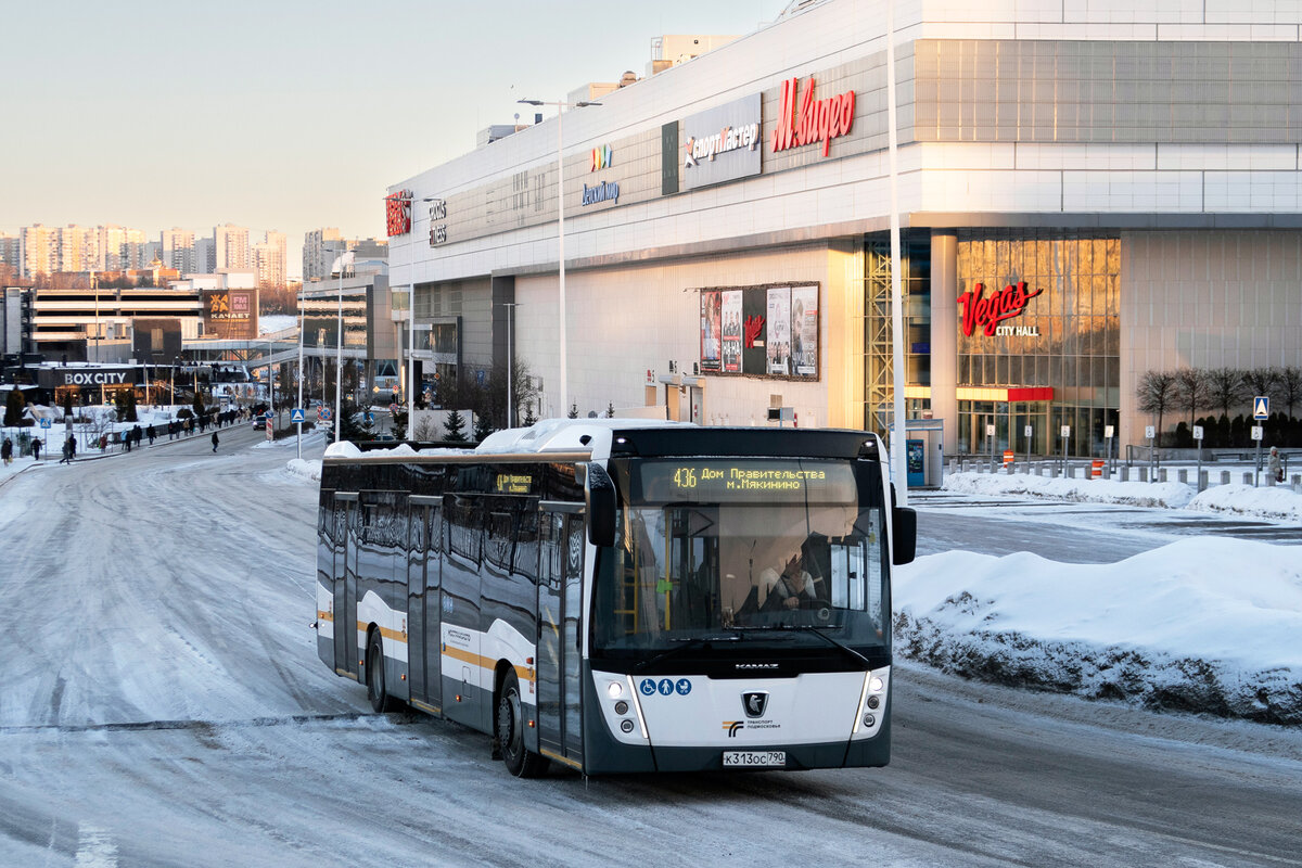 5 самых коротких автобусных маршрутов в Московской области | Колесо  транспортного обозрения | Дзен