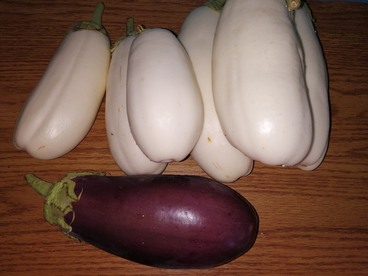 Вот такие баклажаны я использовала для приготовления икры.