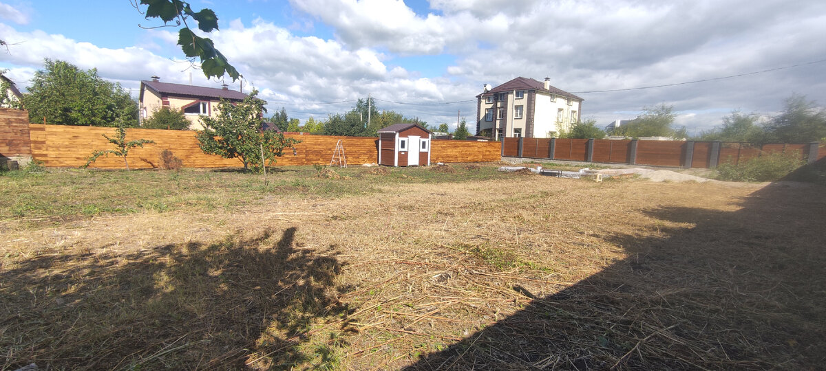 Солнечный сентябрьский день. В октябре мы начали сажать растения. Сосны, клёны, рябины...