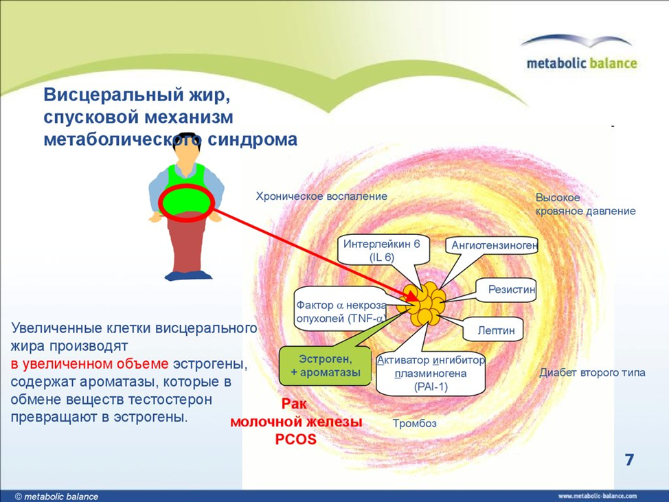 Как бороться с висцеральным. Висцеральный уровень. Висцеральный жир и тестостерон. Висцелярный жир норма.