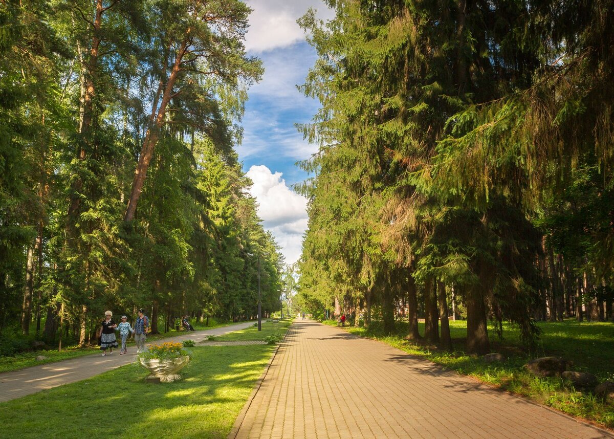 Вместо загородной дачи - многопрофильный санаторий | ОКЕЙ ГОРОД Рыбинск 24  | Дзен