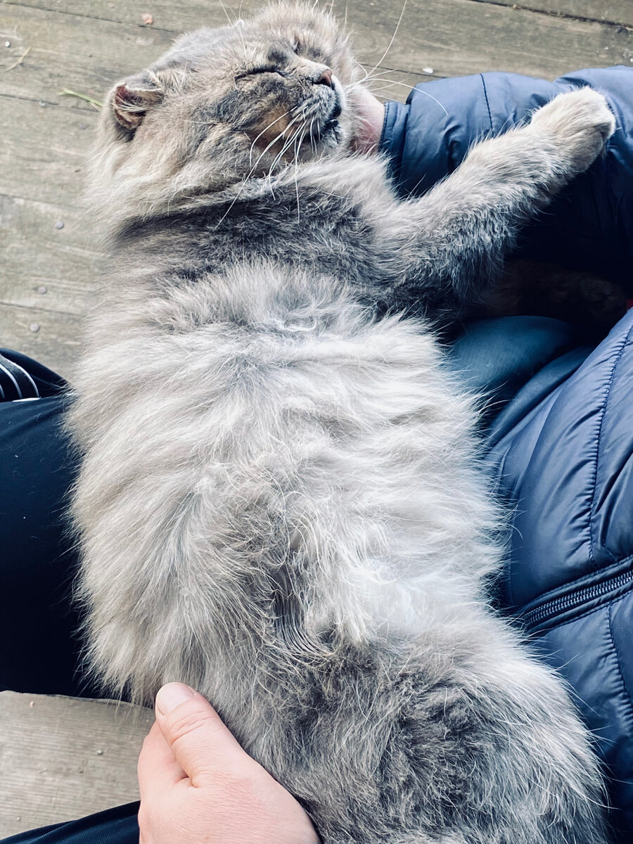 Филя крепко спит. Везде фото автора.