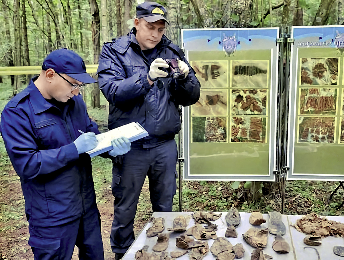 Осмотр костных останков, обнаруженных в ходе проведения поисковых работ  