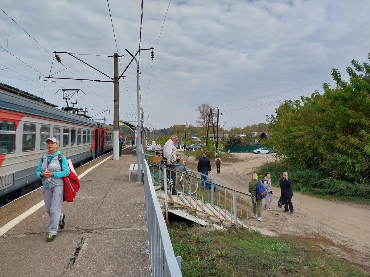 Урожай чего можно собрать на даче 1 октября, особо не напрягаясь и приезжая  только по выходным | И один на даче - воин! | Дзен