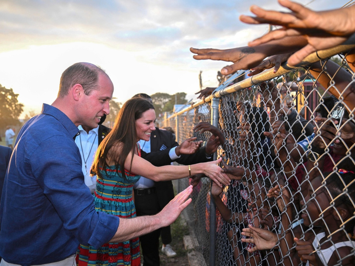 из интернета