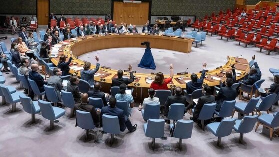    Совбез ООН одобрил отправку миротворцев на Гаити Сергей Бунеев