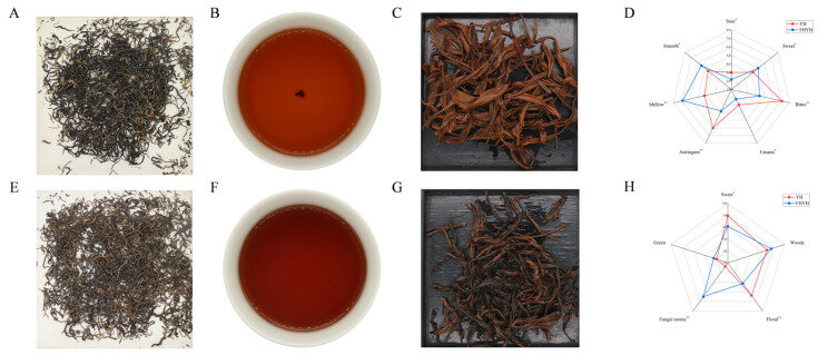 Черный чай до и после ферментации. www.ncbi.nlm.nih.gov