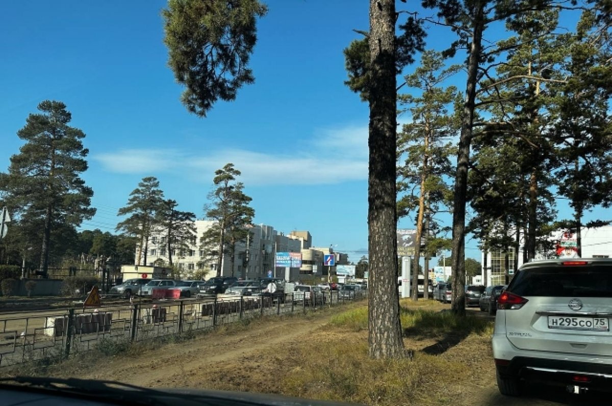    Машины едут через лес из-за перекрытой раскопками улицы Коханского в Чите