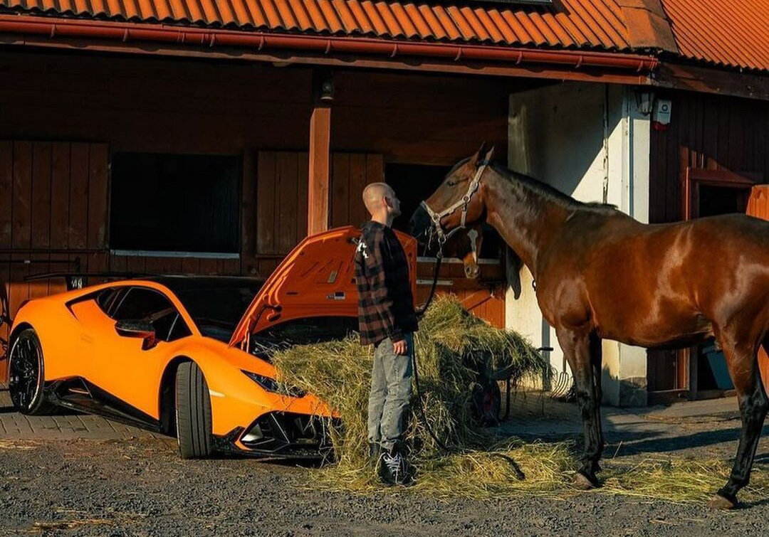 Разъяренный бык приручил гарцующую лошадь: Lamborghini Huracan завалили  сеном | 110KM.RU | Дзен