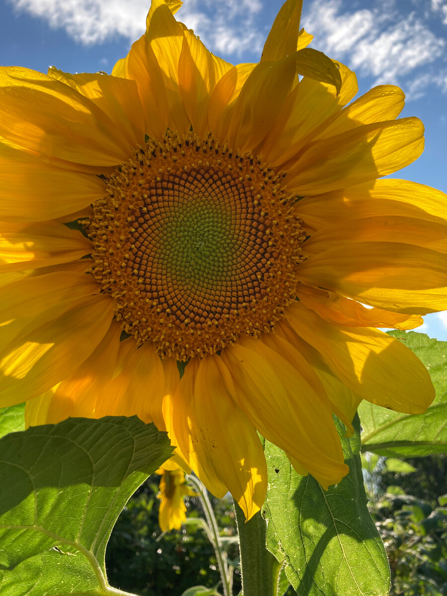 У меня столько красивых летних фото, а уже осень наступила 