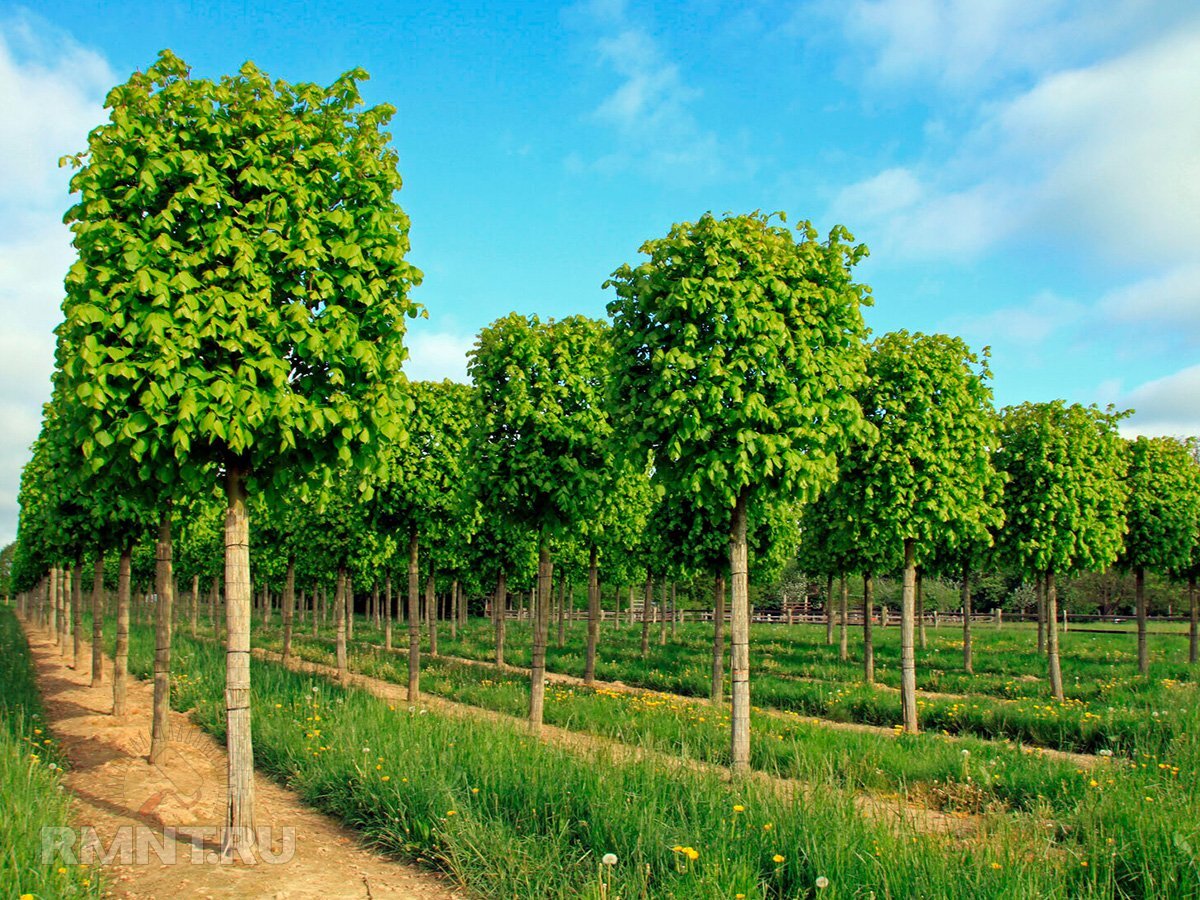   Фото artstory-design.com