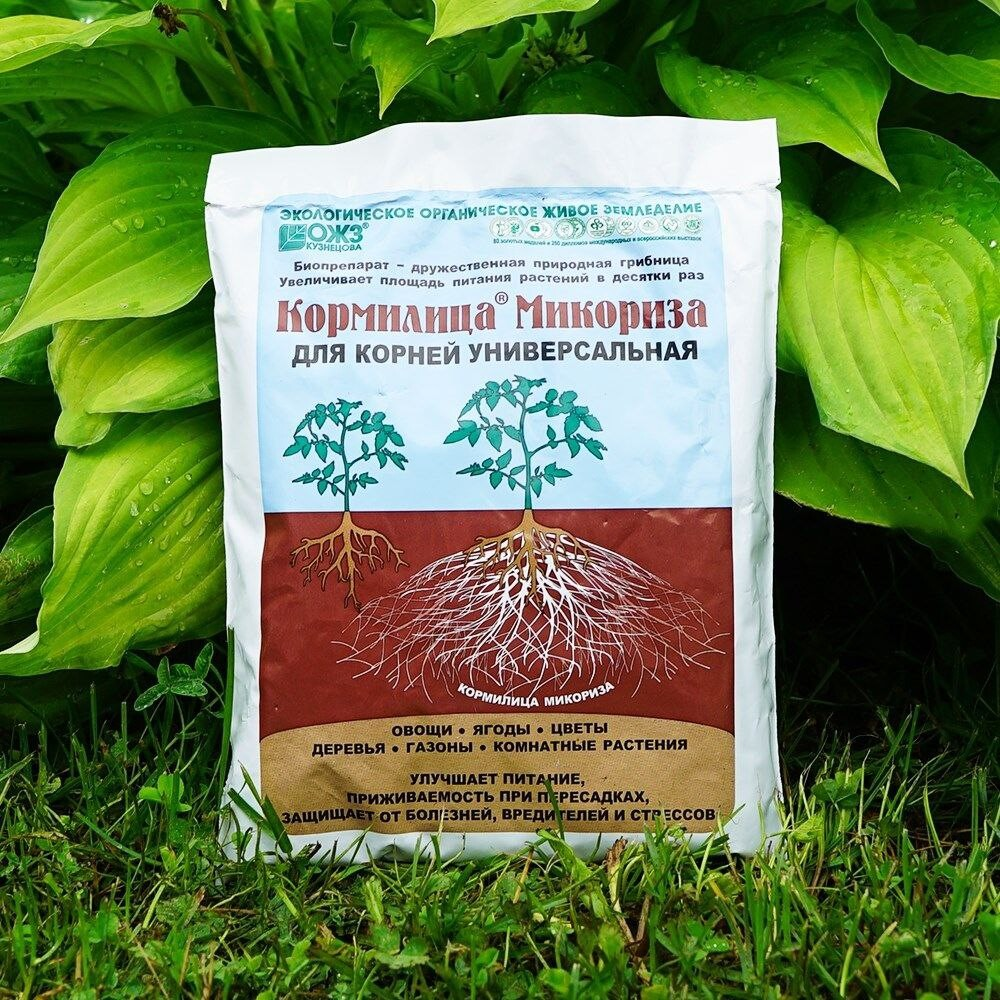 Микориза как применять в огороде. Кормилица микориза, 30 гр. Микориза для рассады 10г зеленое сечение. Микориза для рассады зеленое сечение. Микориза как применять в огороде.