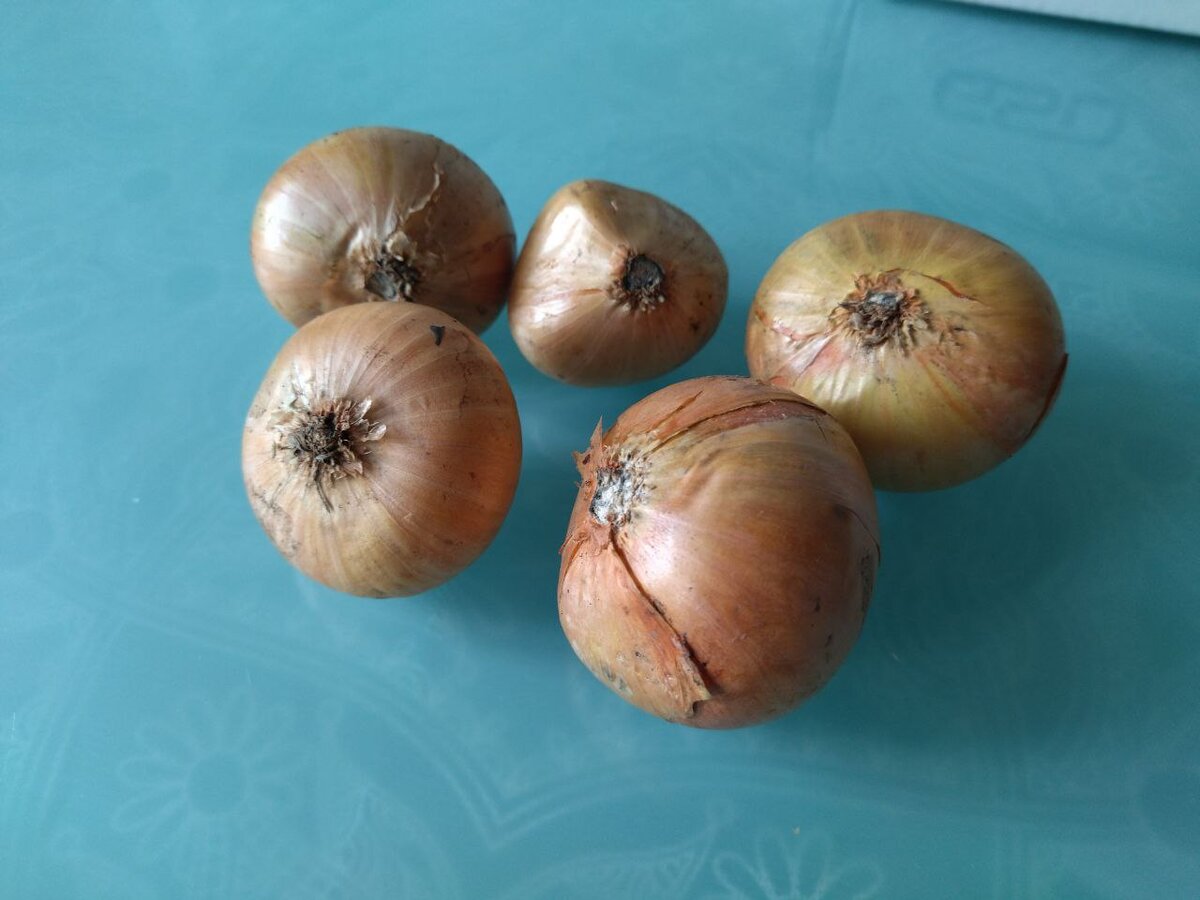 фото из личного архива