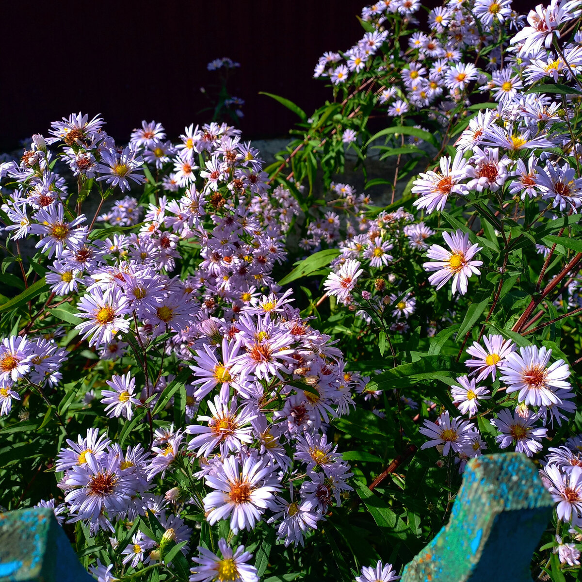 Тёплый солнечный сентябрь уже позади, впереди дожди и пасмурная погода, а там и зима.