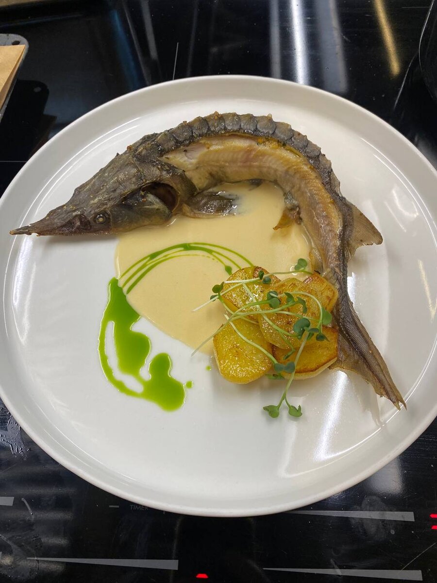 Стерлядка с соусом шампань #chefmfkos