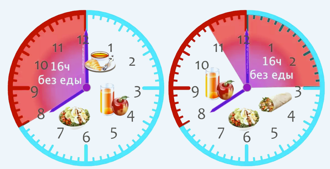 Еда через 2 часа. Интервальное голодание 16/8 схема. Диета интервальное голодание 16/8. Интервальное голодание схемы по часам 16/8 схема. Интервальное голодание меню 16/8 схема.
