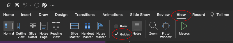 Здесь можно найти "галочку" для включения направляющих