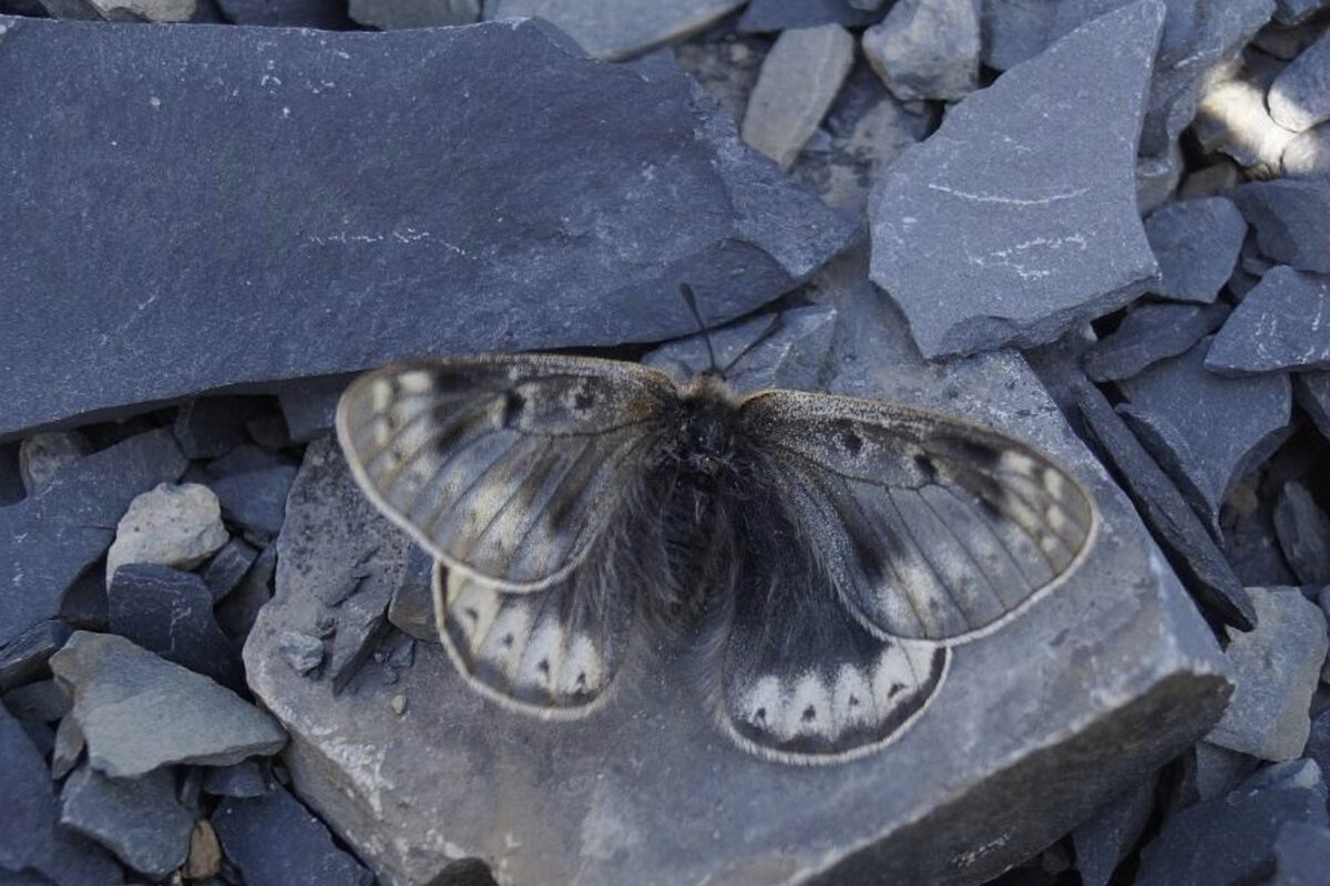 Фото: Роман Яковлев и Юрий Бахаев/ТГУ 
