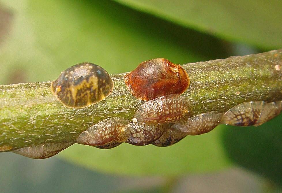 Взято из открытых источников