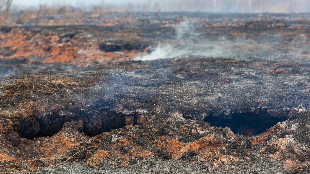    Фото: ДИП Свердловской области