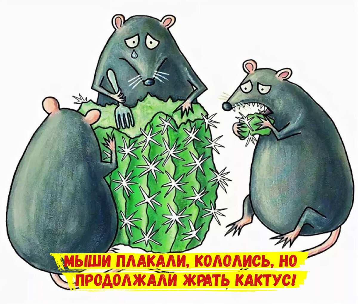 Гениальные шутки Фоменко уже в веках) 