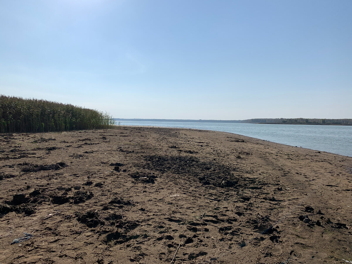 До сброса, вода подходит вплотную к зарослям камыша на берегу, весь этот песчаный пляж обычно под водой