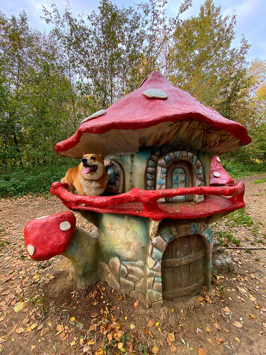 #язычокповторникам - акция памяти хвостиков, ушедших за радужный мост