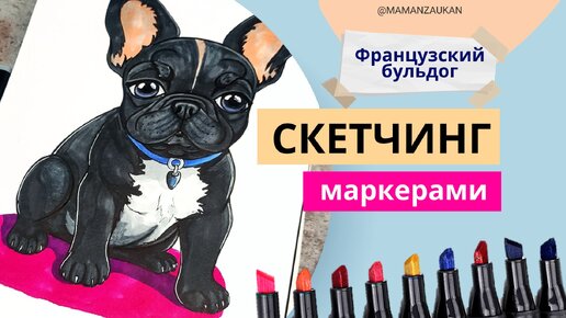 Французский бульдог. Пошаговое рисование маркерами