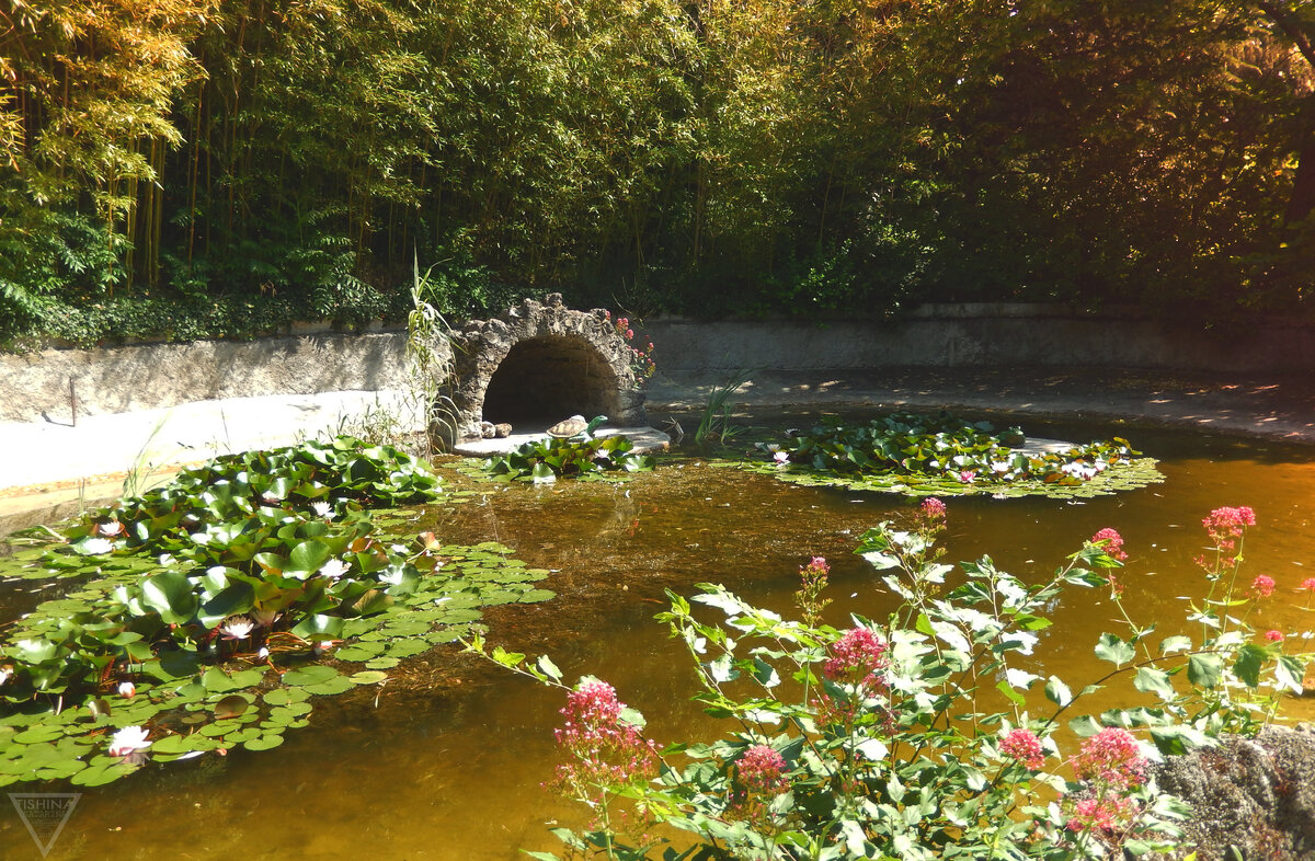 Листайте галерею, чтобы увидеть больше фотографий.
