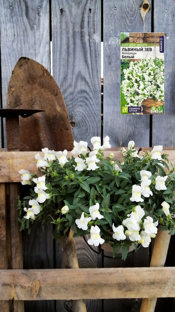 Фото нашей подписчицы Анны Малых