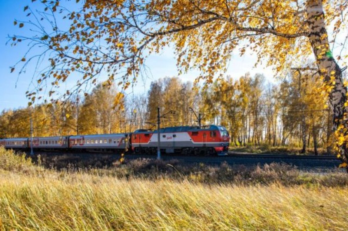    Перевозки пассажиров на СвЖД с начала года выросли на 10%