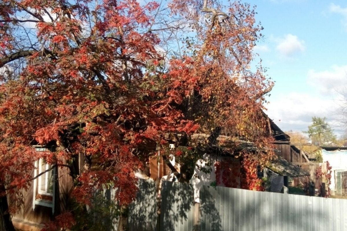    Осенью в России бич владельцев частных домов - пожары