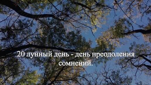 День 03.10.2023. Что важно знать. Рекомендации и предостережения