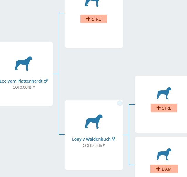 родословная Leo v. Plattenhardt. 