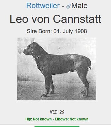 Leo v. Cannstadt