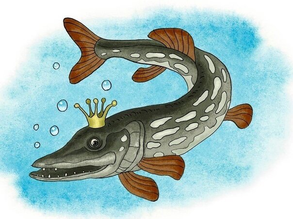 -Рыбы кричать не умеют, Лиса!