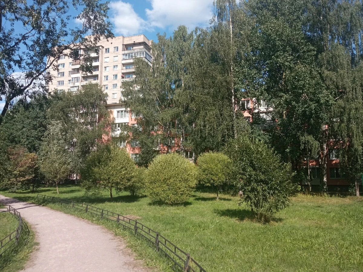 Родной район.