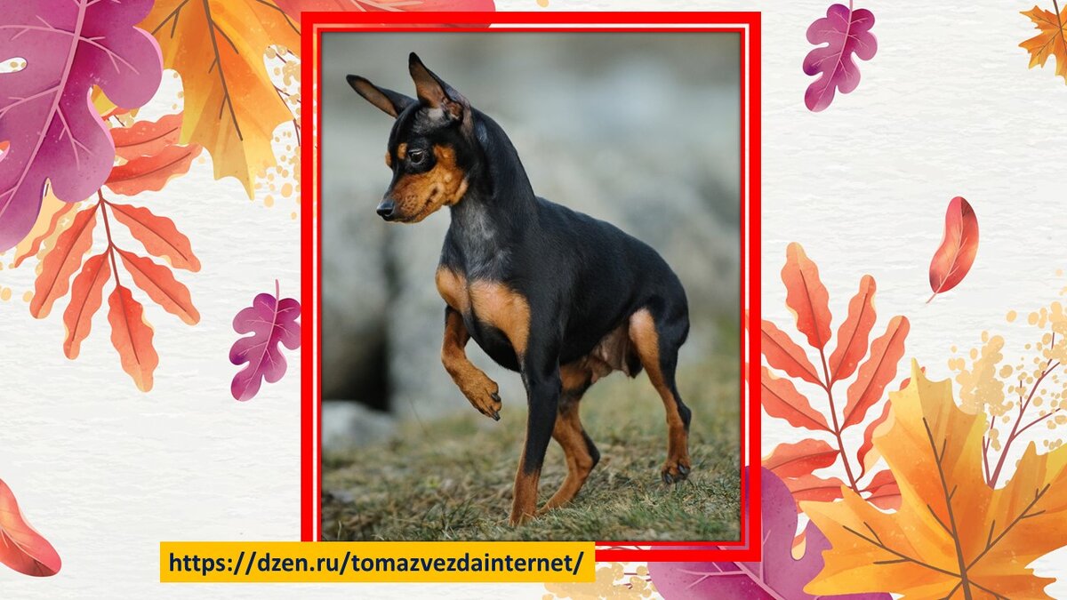 Из открытых источников