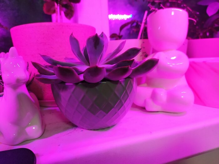 Приятные как на вид, так и на ощупь